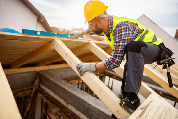Best Roof Gutter Cleaning  in Minneapolis, KS